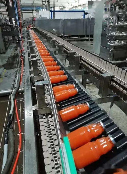 昌吉高新區(qū) 以精深加工引領(lǐng)產(chǎn)業(yè)升級(jí)，塑料化糞池助力綠色農(nóng)業(yè)增長(zhǎng)